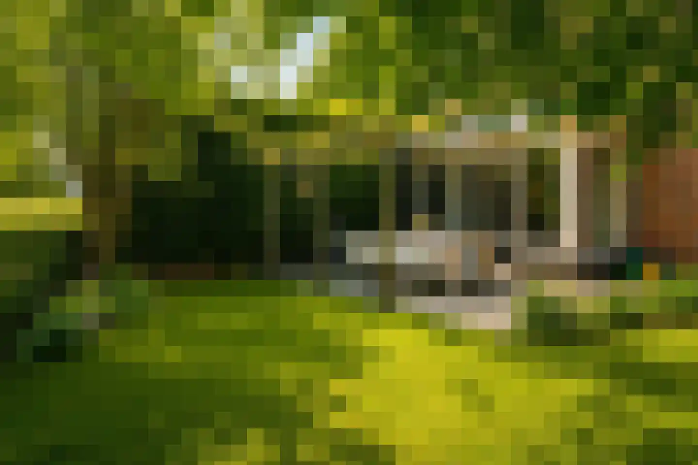 Turris 6 Elst thumbnail 43