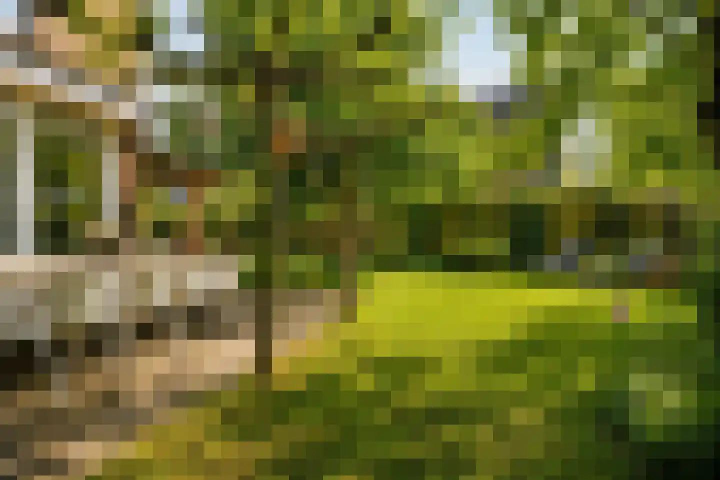 Turris 6 Elst thumbnail 44