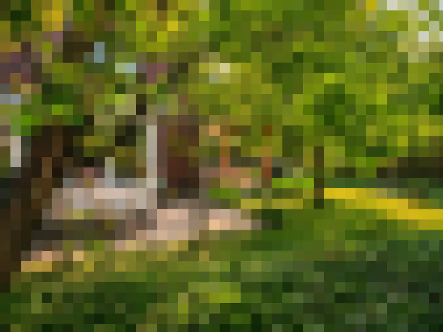 Turris 6 Elst thumbnail 46