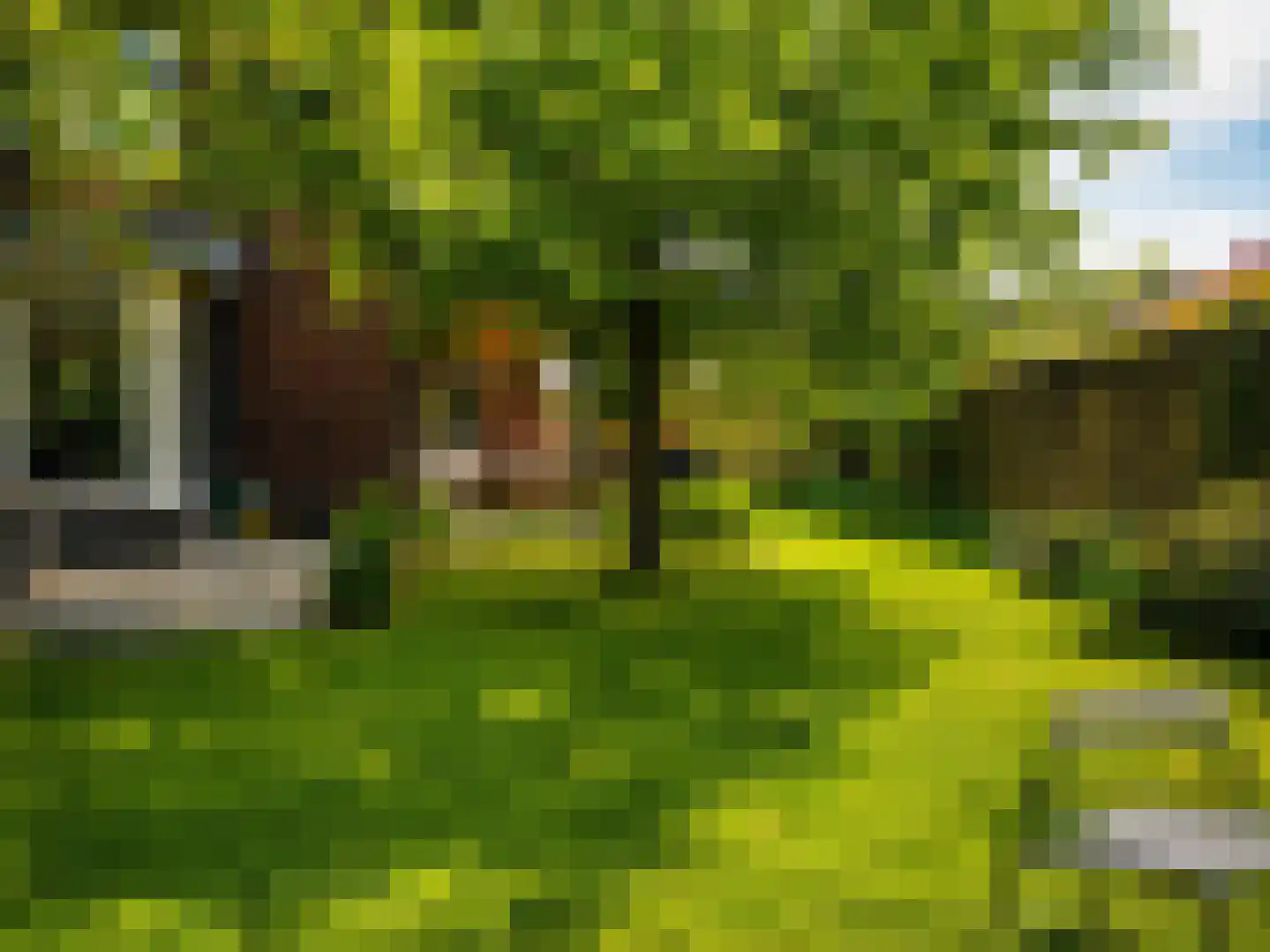 Turris 6 Elst thumbnail 47