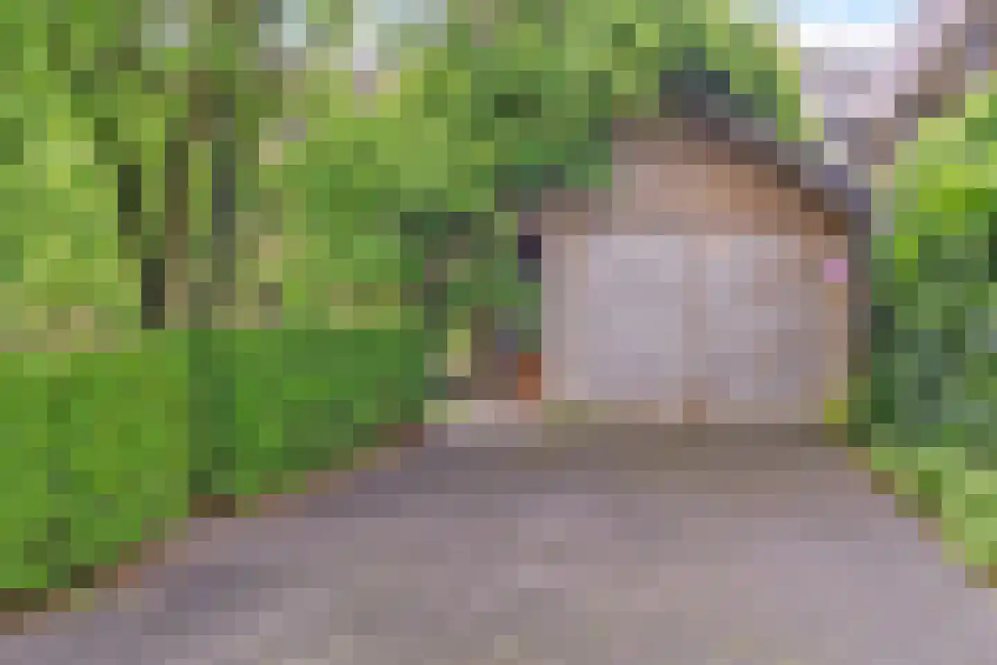 Turris 6 Elst thumbnail 53