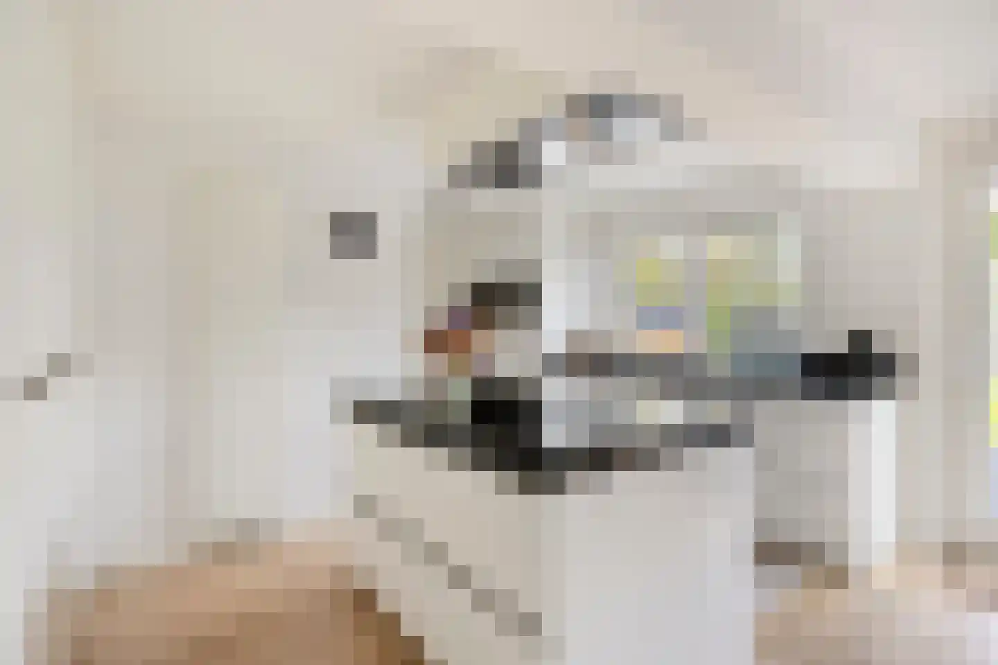 Tus 1 Veldhoven thumbnail 15