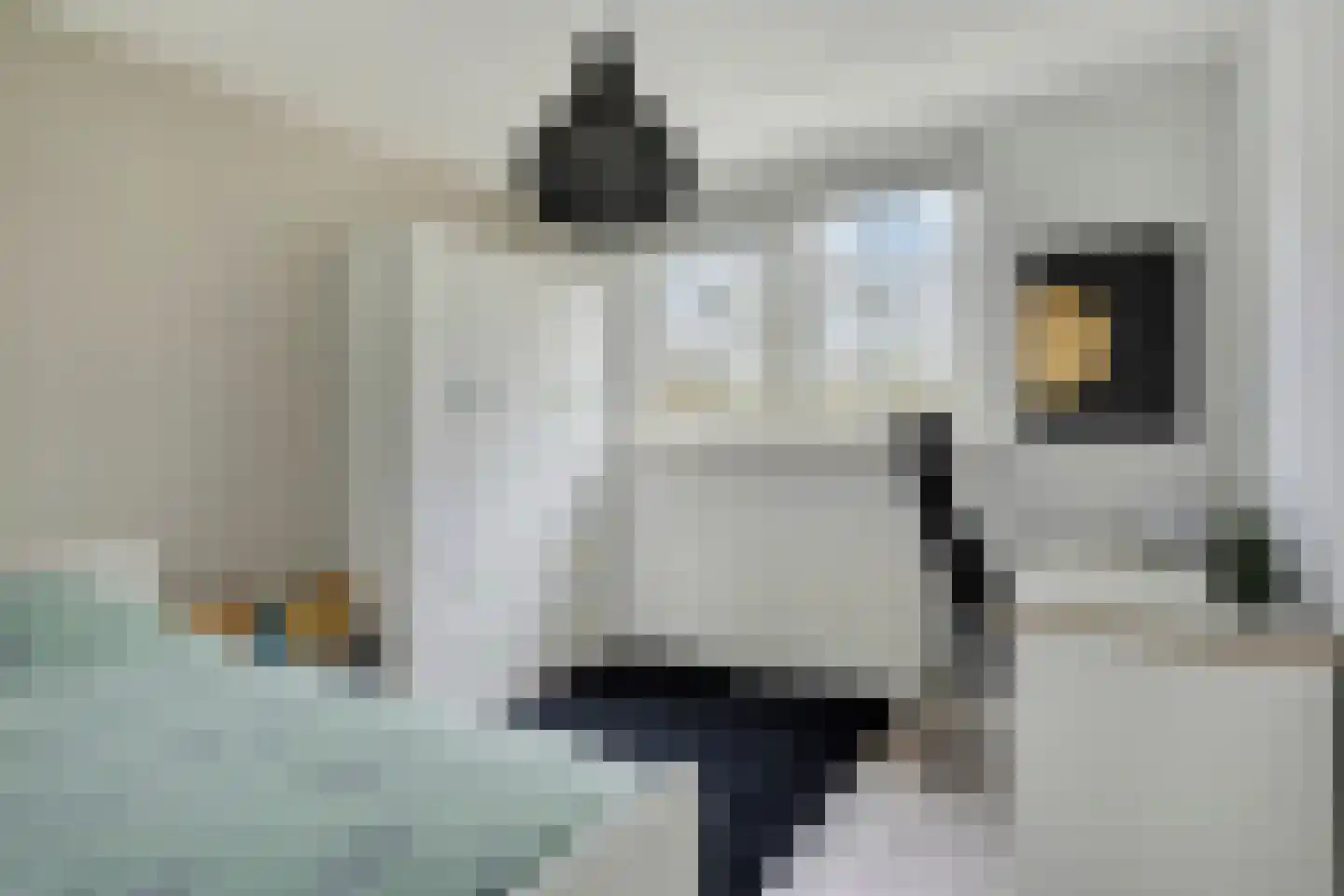 Tus 1 Veldhoven thumbnail 28