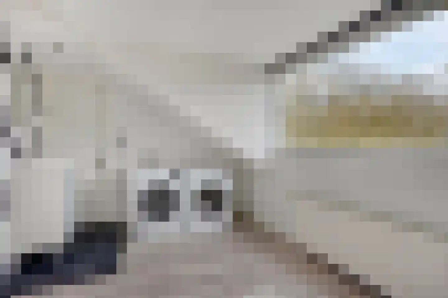 Tus 1 Veldhoven thumbnail 30
