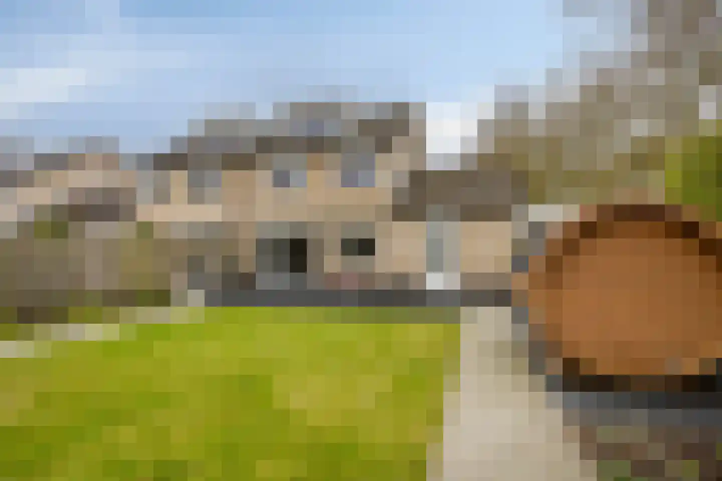 Tus 1 Veldhoven thumbnail 34