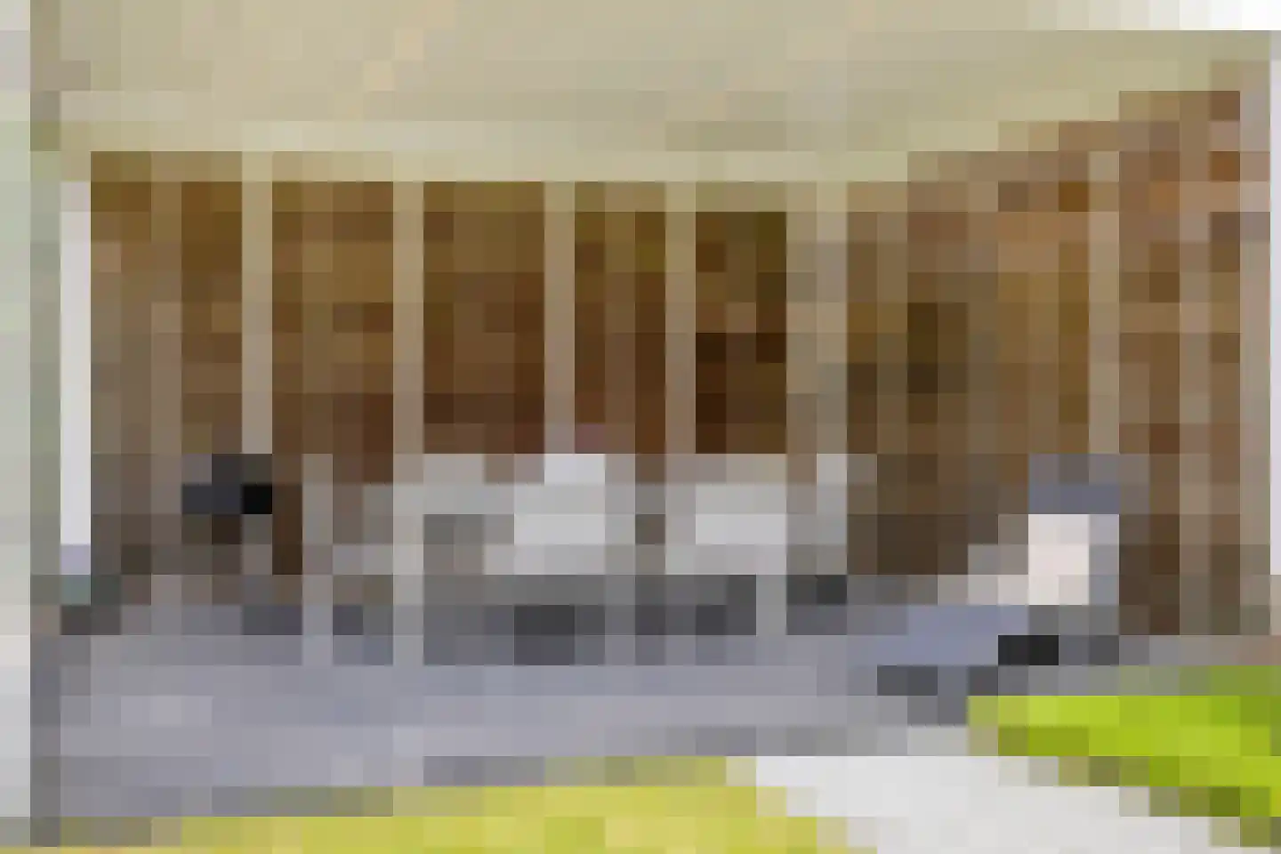 Tus 1 Veldhoven thumbnail 37