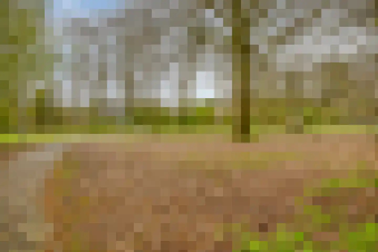 Tus 1 Veldhoven thumbnail 42
