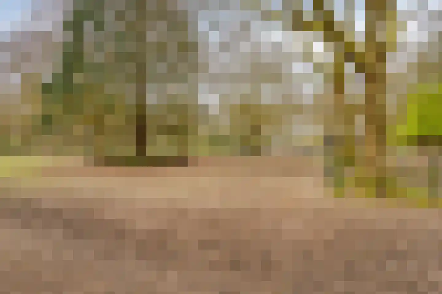 Tus 1 Veldhoven thumbnail 44