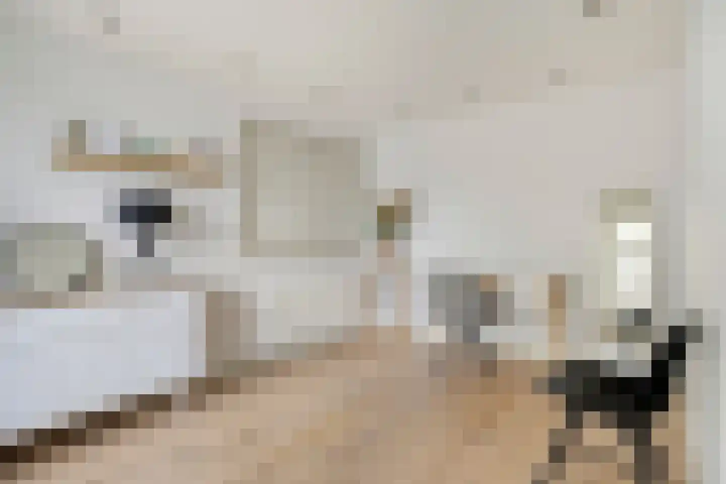 Tus 1 Veldhoven thumbnail 7