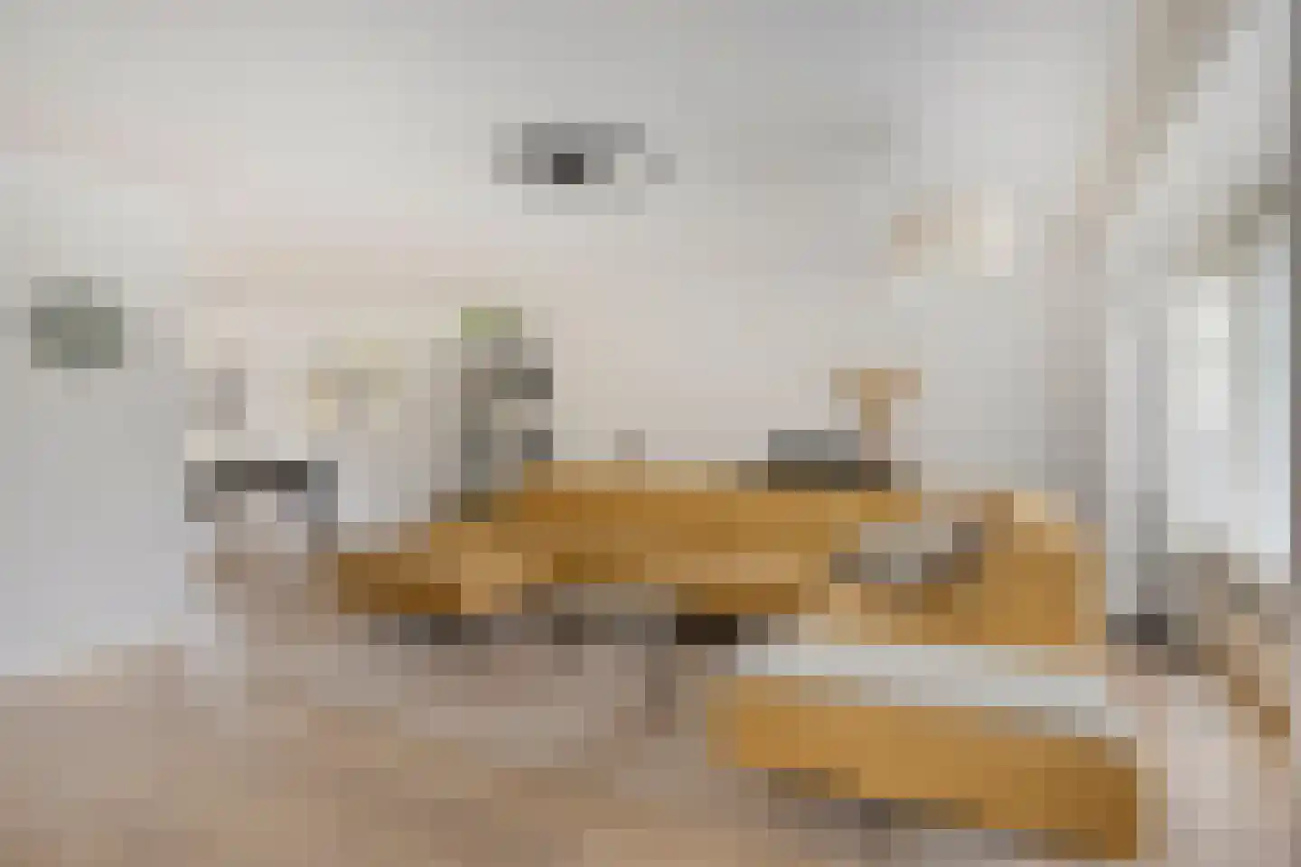 Tus 1 Veldhoven thumbnail 9