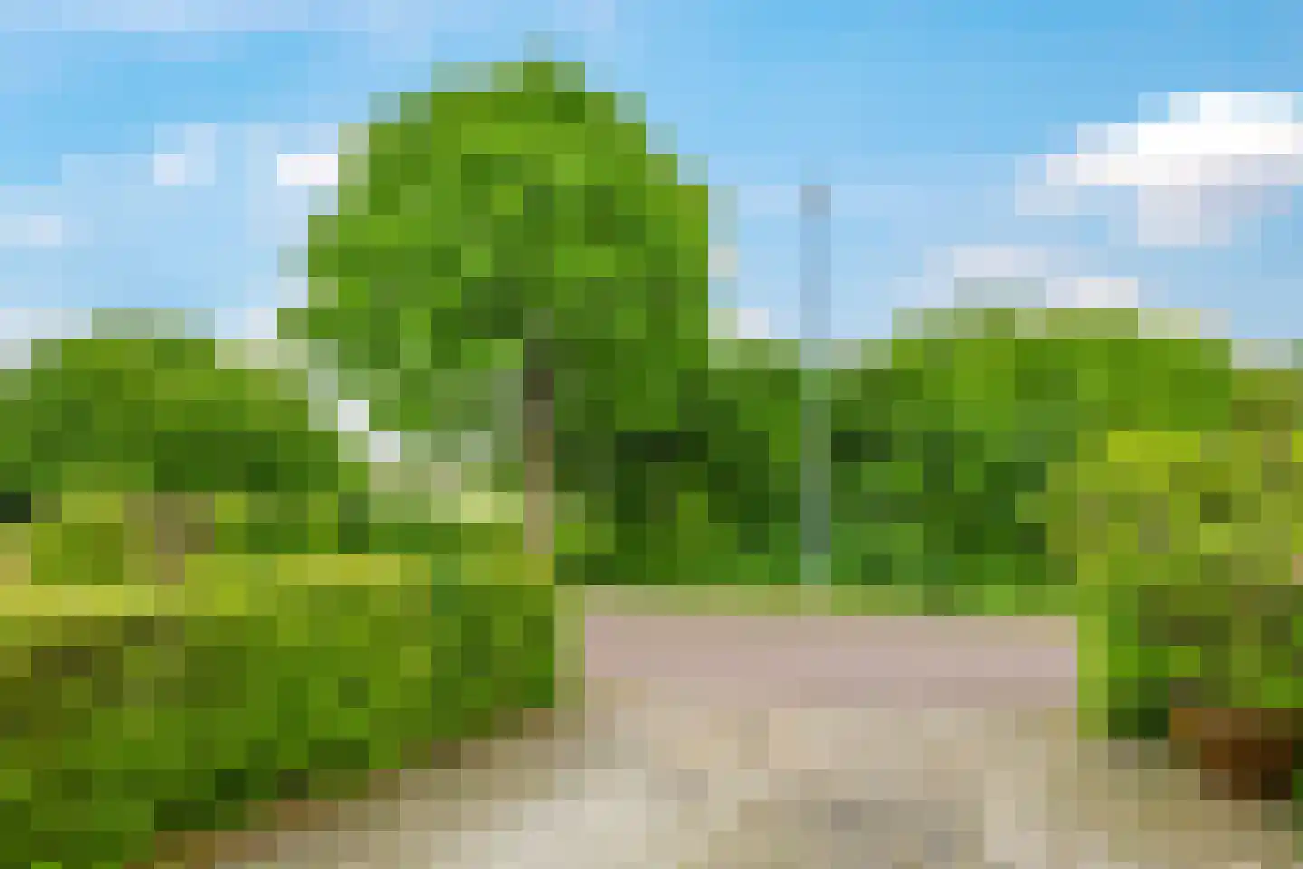 Tusculum 23 Herveld thumbnail 68