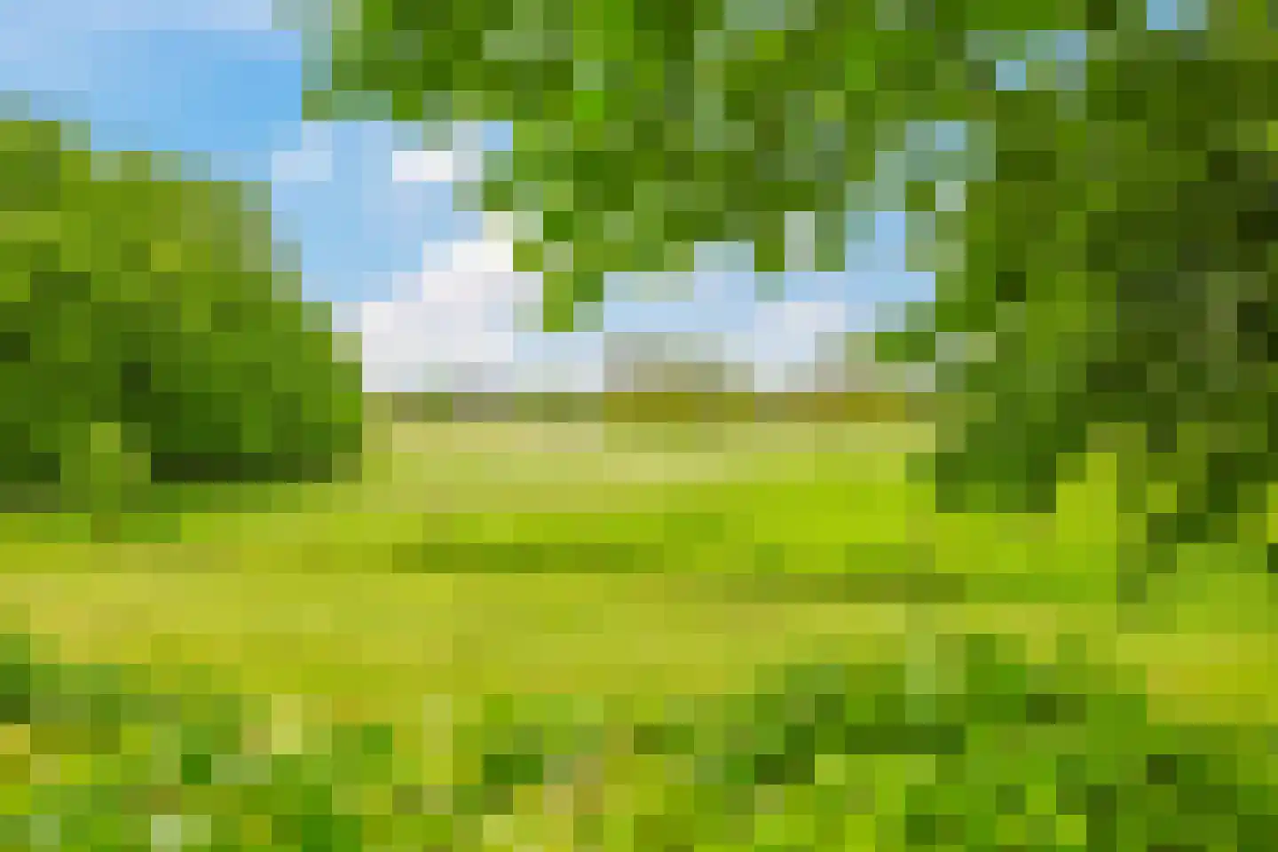 Tusculum 23 Herveld thumbnail 74
