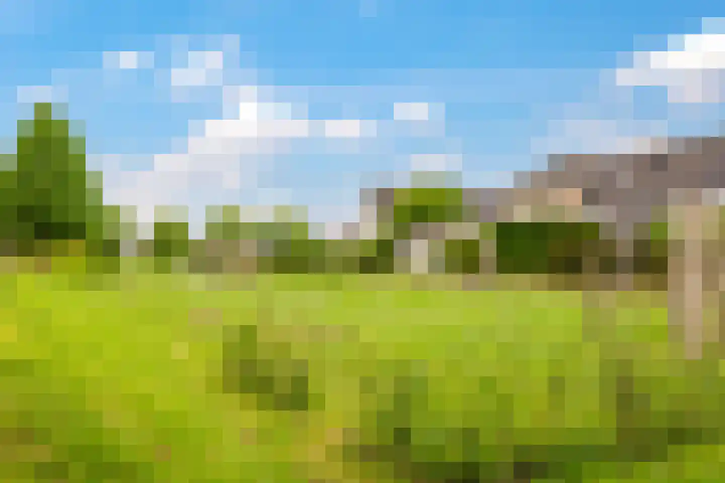 Tusculum 23 Herveld thumbnail 76