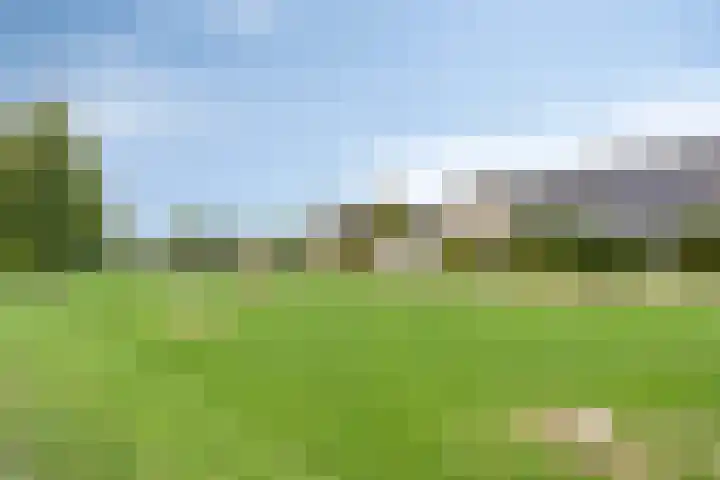 Tusculum 29 Herveld thumbnail 31