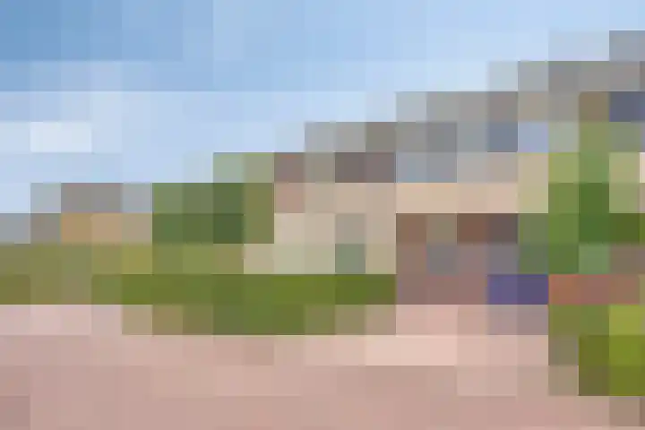 Tusculum 29 Herveld thumbnail 5
