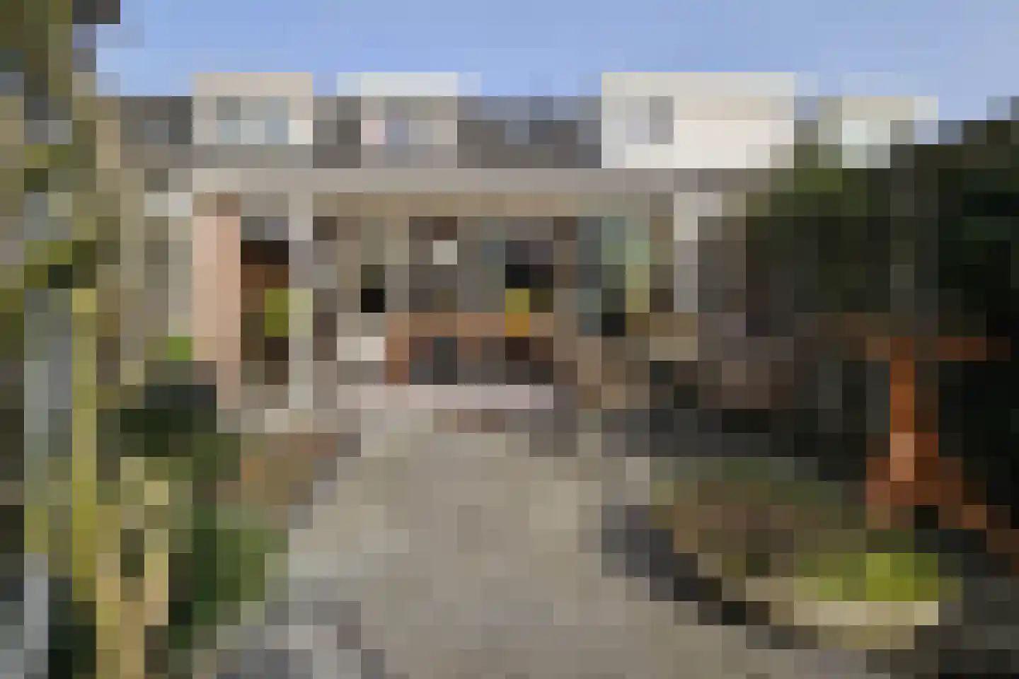 Tusculum 31 Herveld thumbnail 32