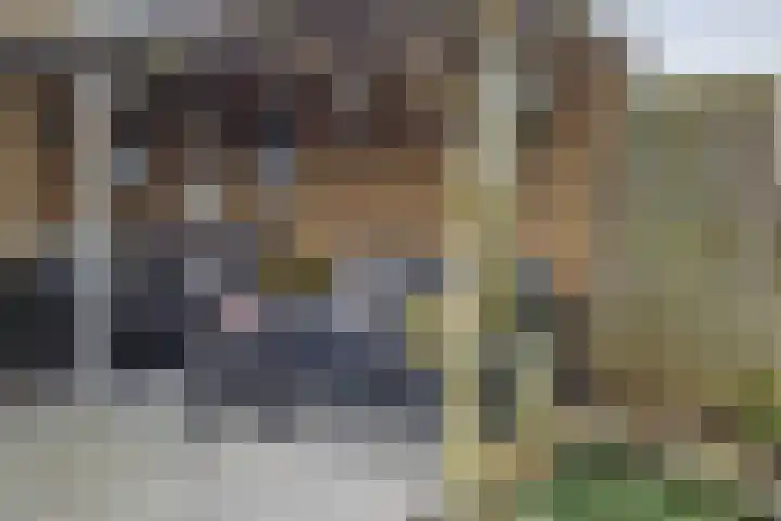 Tusculum 31 Herveld thumbnail 4