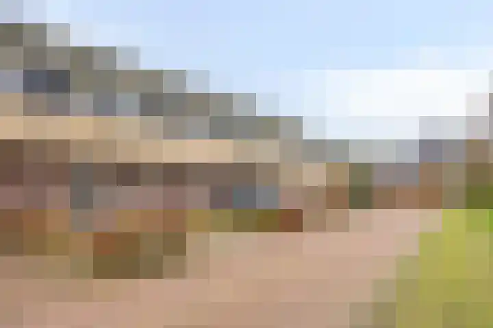 Tusculum 31 Herveld thumbnail 5