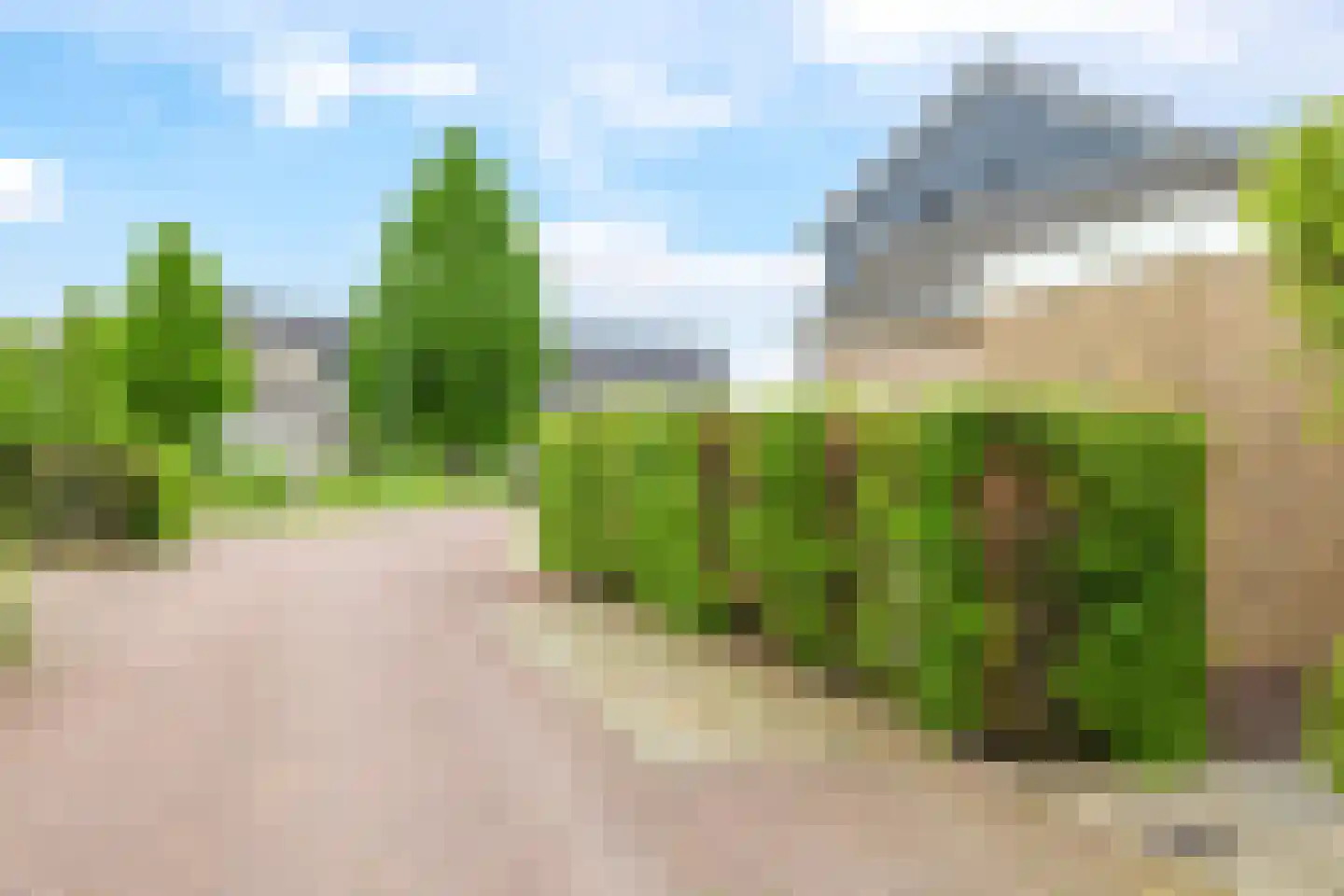 Tusculum 37 Herveld thumbnail 84