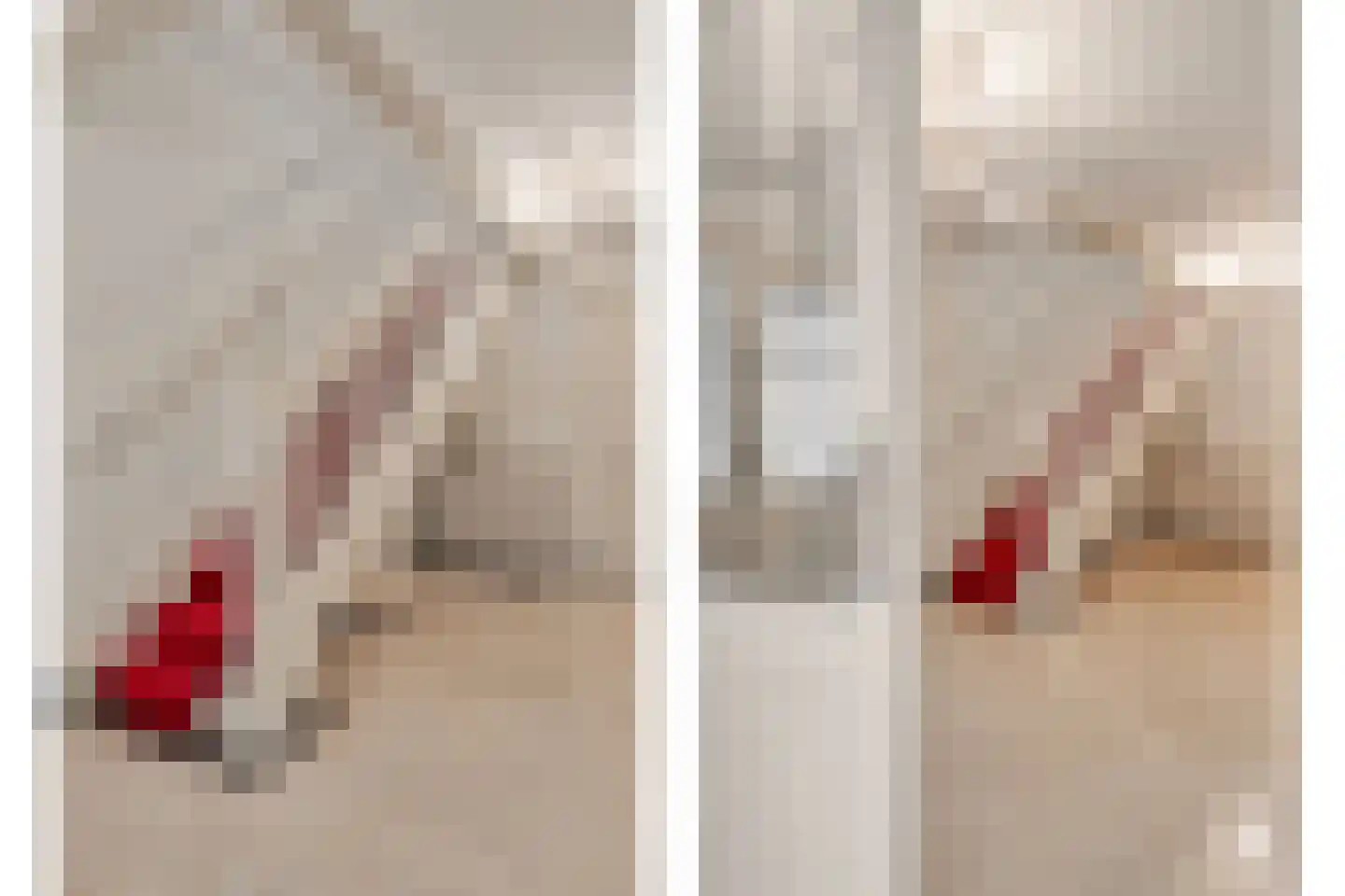 Tusculum 4 Herveld thumbnail 13