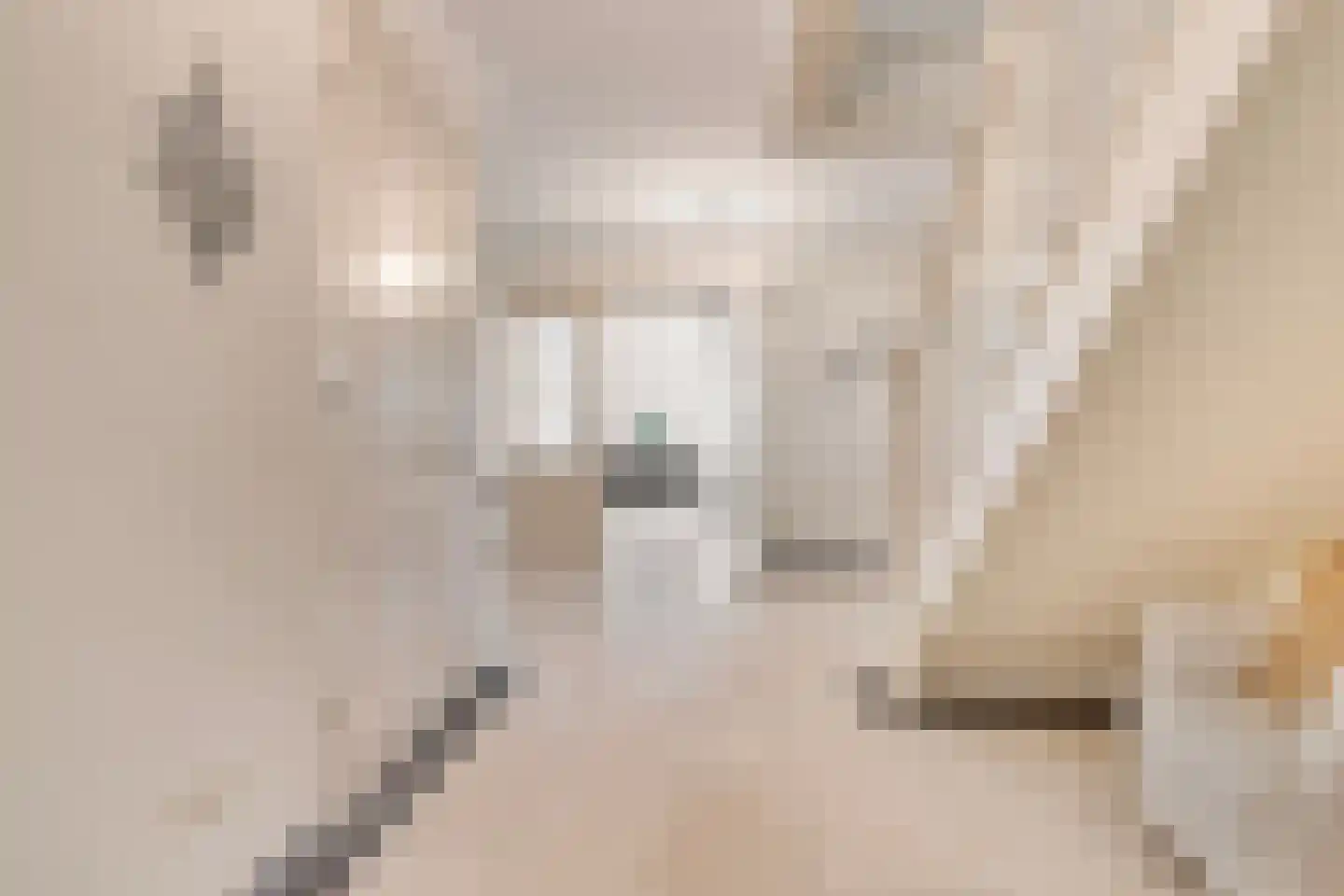 Tusculum 4 Herveld thumbnail 16