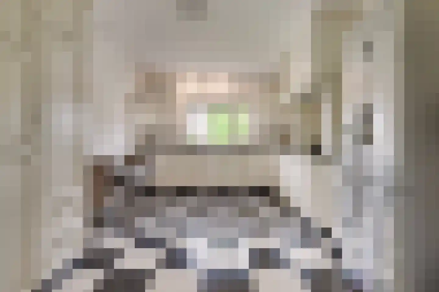 Tusculum 4 Herveld thumbnail 26