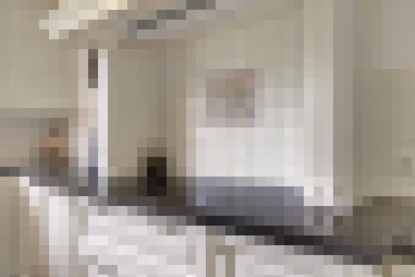 Tusculum 4 Herveld thumbnail 29
