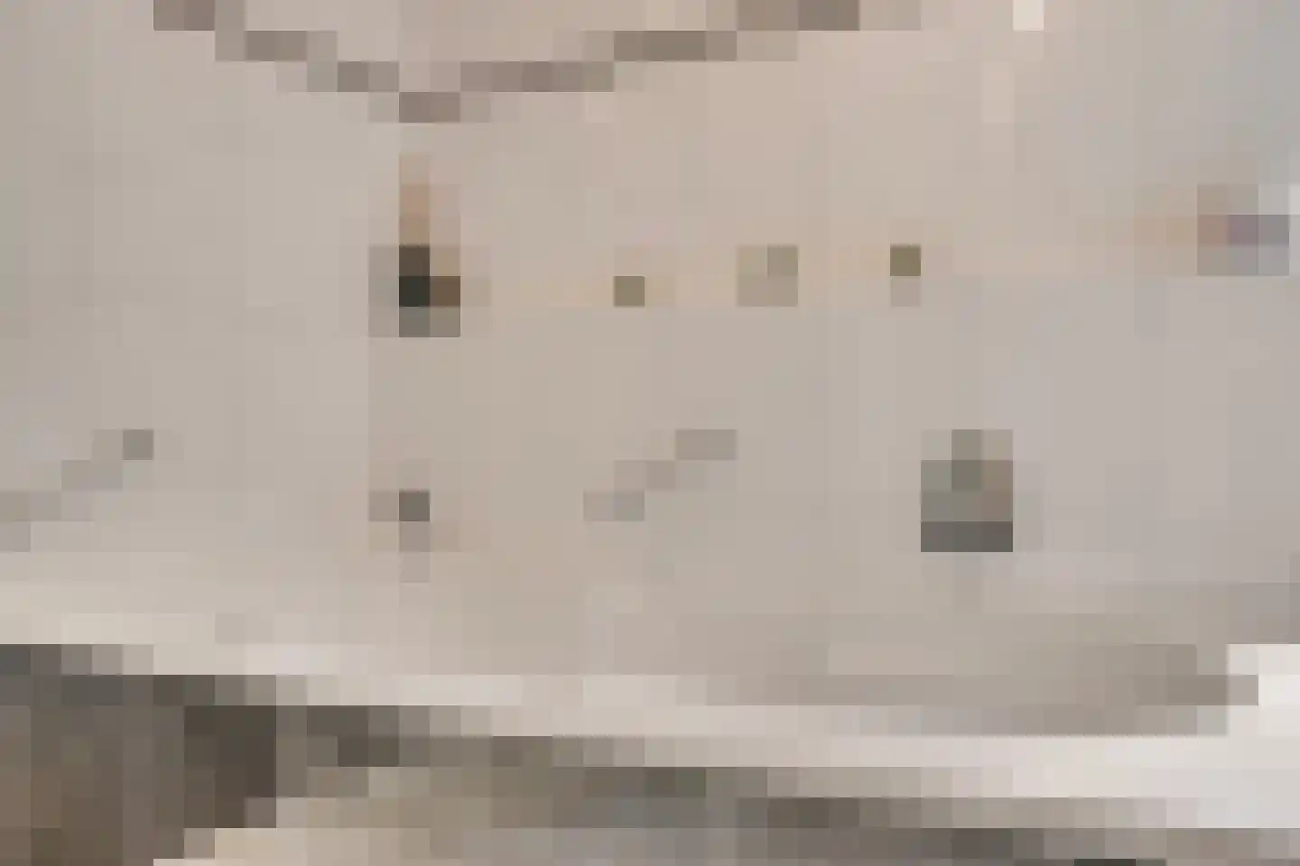 Tusculum 4 Herveld thumbnail 36