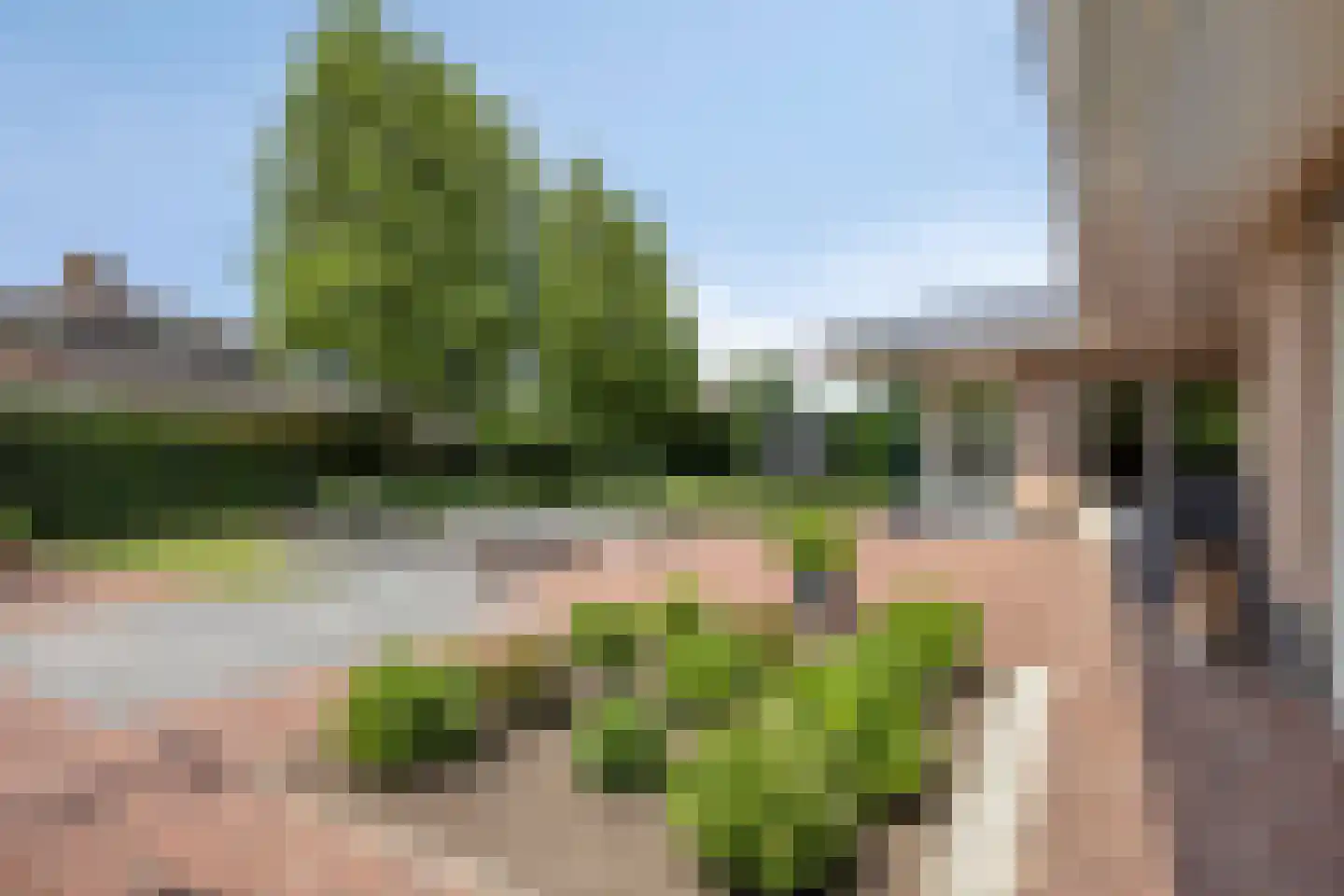 Tusculum 4 Herveld thumbnail 53