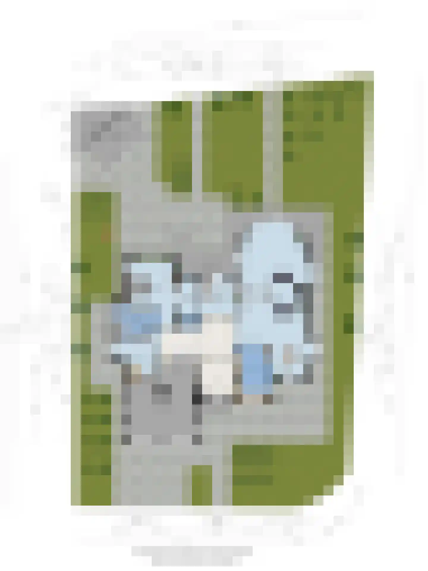 Tusculum 4 Herveld thumbnail 62