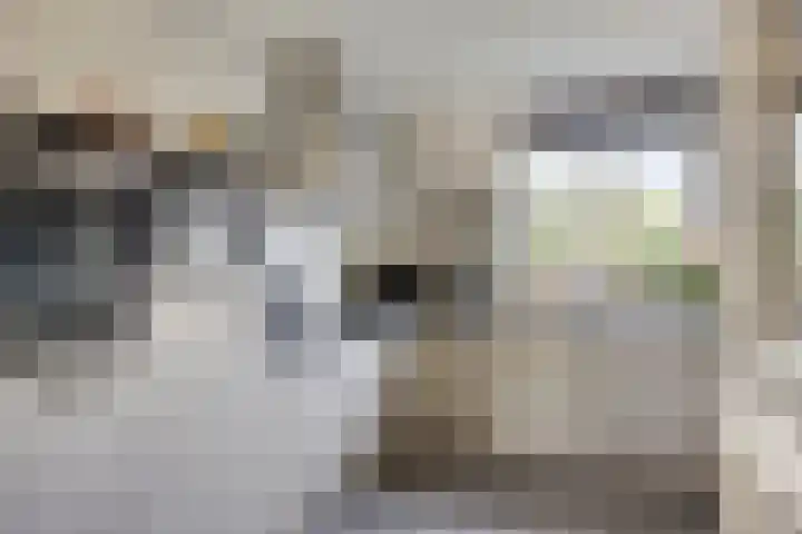 Tusolaan 9 Barneveld thumbnail 11