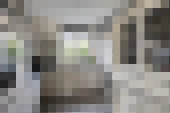 Tusolaan 9 Barneveld thumbnail 12