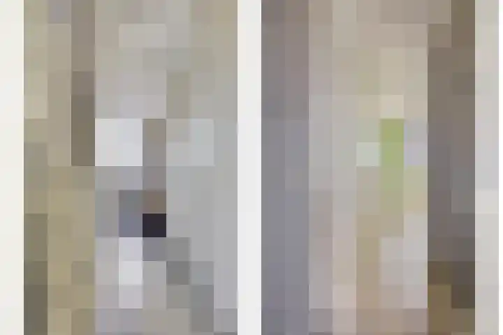 Tusolaan 9 Barneveld thumbnail 14
