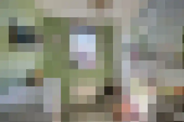 Tusolaan 9 Barneveld thumbnail 20