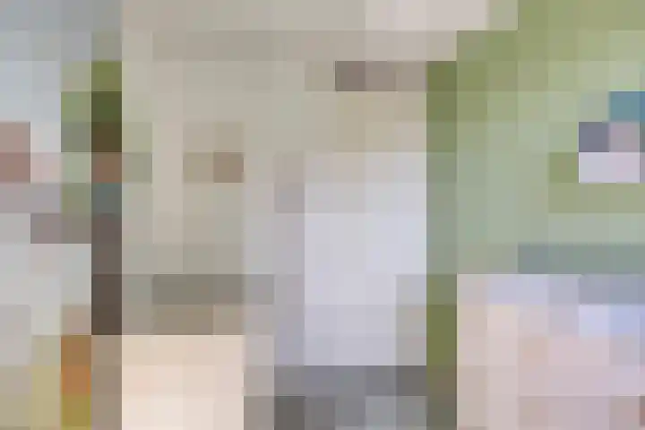 Tusolaan 9 Barneveld thumbnail 21