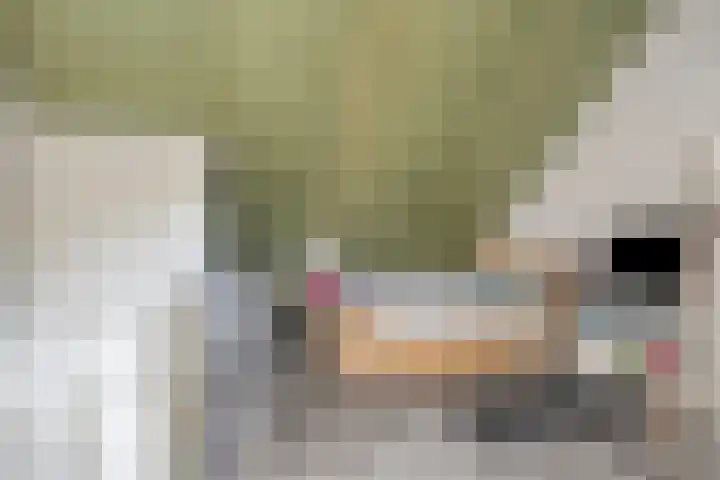 Tusolaan 9 Barneveld thumbnail 25