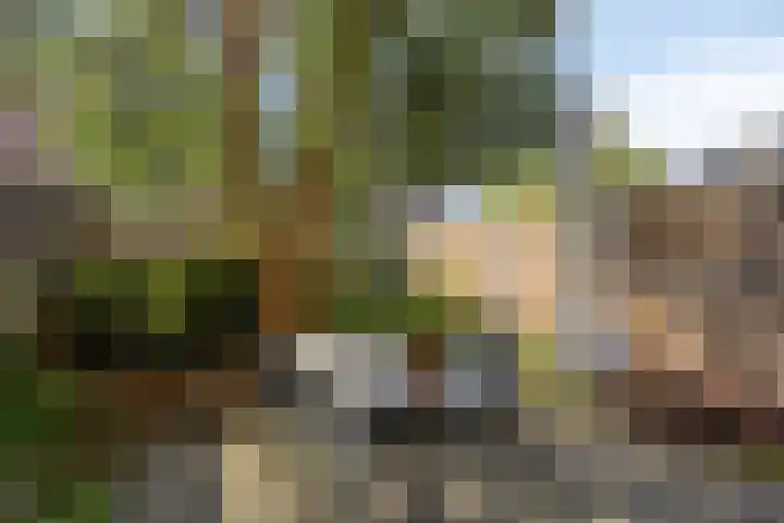 Tusolaan 9 Barneveld thumbnail 26
