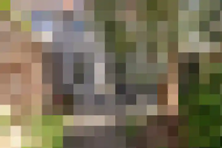 Tusolaan 9 Barneveld thumbnail 27
