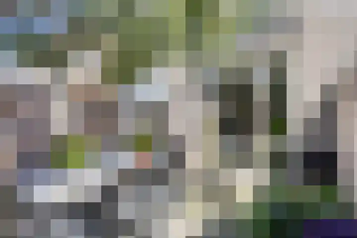 Tusolaan 9 Barneveld thumbnail 28