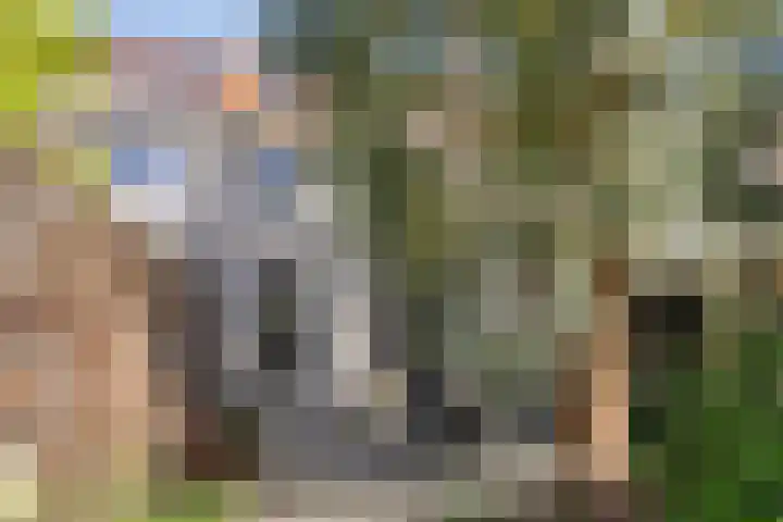 Tusolaan 9 Barneveld thumbnail 29