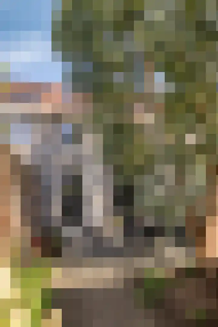 Tusolaan 9 Barneveld thumbnail 30