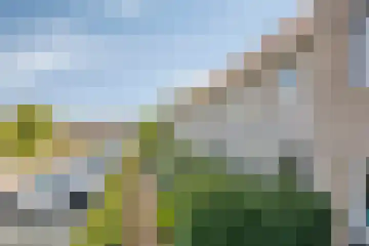 Tusolaan 9 Barneveld thumbnail 35