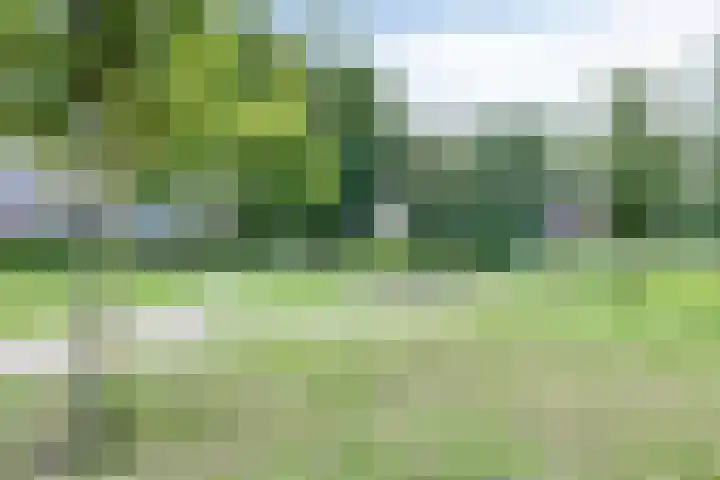 Tusolaan 9 Barneveld thumbnail 36