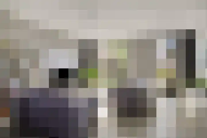 Tusolaan 9 Barneveld thumbnail 6