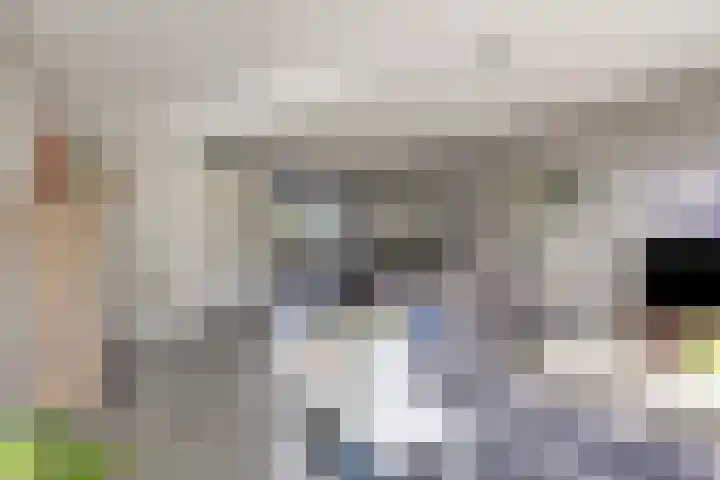 Tusolaan 9 Barneveld thumbnail 7