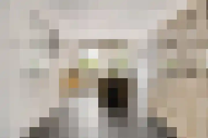Tusschen beide Wegen 10 Rijnsburg thumbnail 16