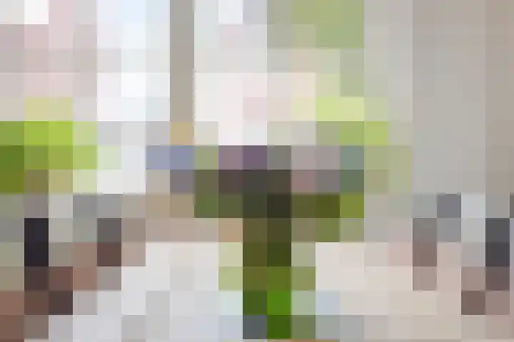 Tusschen beide Wegen 10 Rijnsburg thumbnail 19