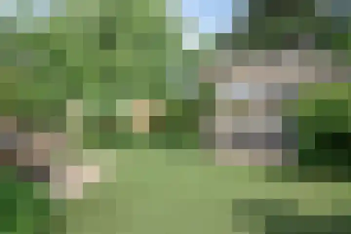 Tusschen beide Wegen 10 Rijnsburg thumbnail 23