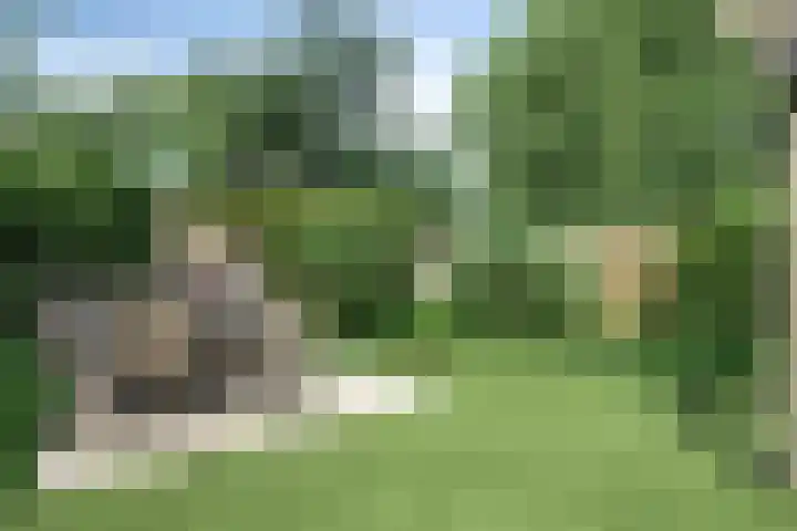 Tusschen beide Wegen 10 Rijnsburg thumbnail 24
