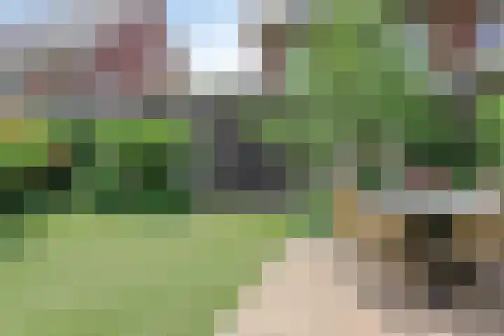 Tusschen beide Wegen 10 Rijnsburg thumbnail 28